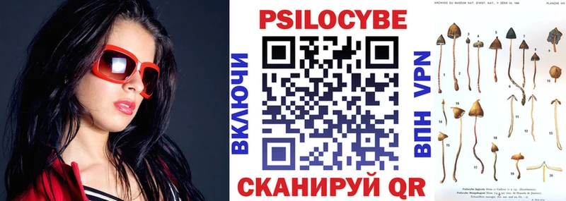 Галлюциногенные грибы Psilocybe  купить закладку  Ижевск 