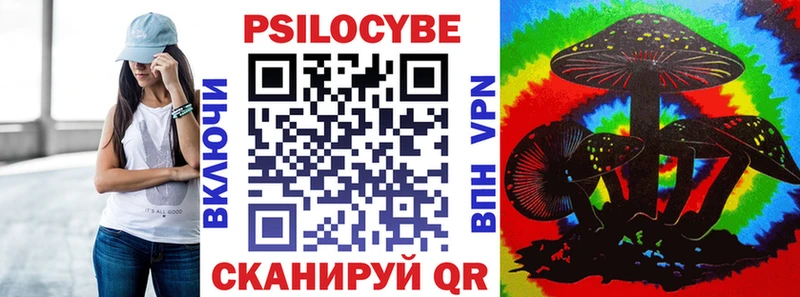 Псилоцибиновые грибы Psilocybe Ижевск